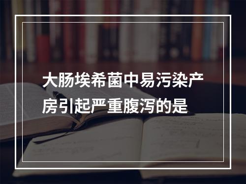 大肠埃希菌中易污染产房引起严重腹泻的是