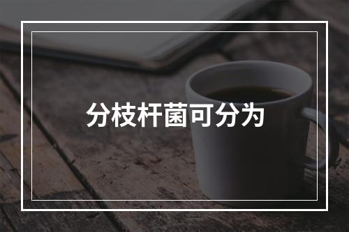 分枝杆菌可分为