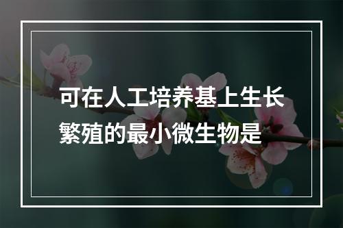 可在人工培养基上生长繁殖的最小微生物是