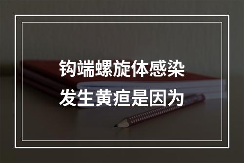 钩端螺旋体感染发生黄疸是因为