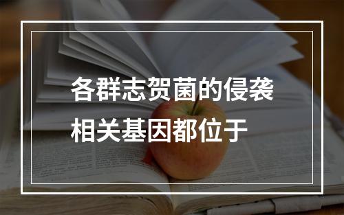 各群志贺菌的侵袭相关基因都位于