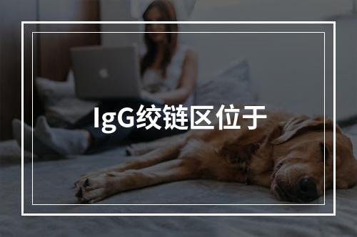 IgG绞链区位于