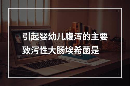 引起婴幼儿腹泻的主要致泻性大肠埃希菌是