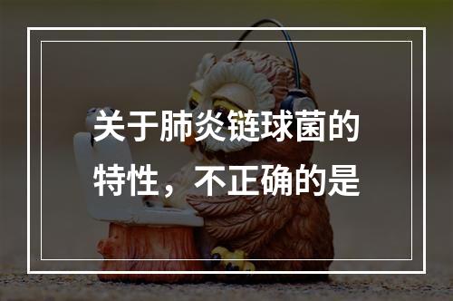 关于肺炎链球菌的特性，不正确的是