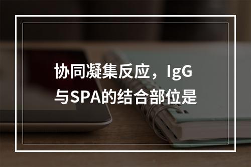 协同凝集反应，IgG与SPA的结合部位是