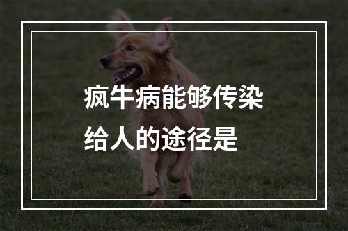 疯牛病能够传染给人的途径是