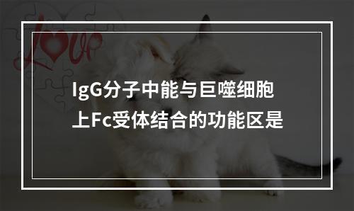 IgG分子中能与巨噬细胞上Fc受体结合的功能区是