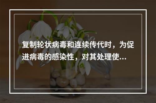 复制轮状病毒和连续传代时，为促进病毒的感染性，对其处理使用的