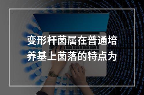 变形杆菌属在普通培养基上菌落的特点为