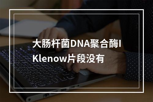 大肠杆菌DNA聚合酶IKlenow片段没有