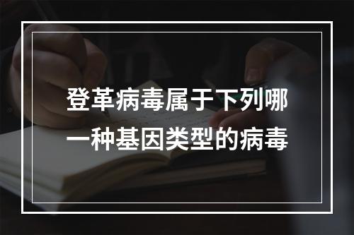 登革病毒属于下列哪一种基因类型的病毒