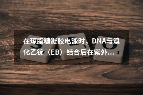 在琼脂糖凝胶电泳时，DNA与溴化乙锭（EB）结合后在紫外光激