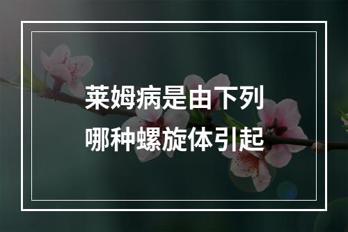 莱姆病是由下列哪种螺旋体引起