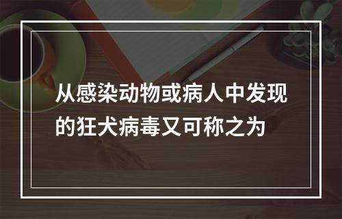 从感染动物或病人中发现的狂犬病毒又可称之为