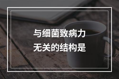 与细菌致病力无关的结构是