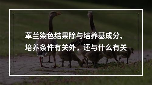 革兰染色结果除与培养基成分、培养条件有关外，还与什么有关