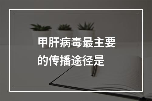 甲肝病毒最主要的传播途径是