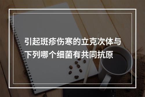 引起斑疹伤寒的立克次体与下列哪个细菌有共同抗原