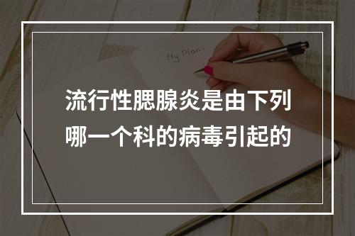 流行性腮腺炎是由下列哪一个科的病毒引起的