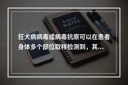 狂犬病病毒或病毒抗原可以在患者身体多个部位取样检测到，其中不