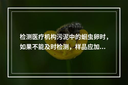 检测医疗机构污泥中的蛔虫卵时，如果不能及时检测，样品应加入