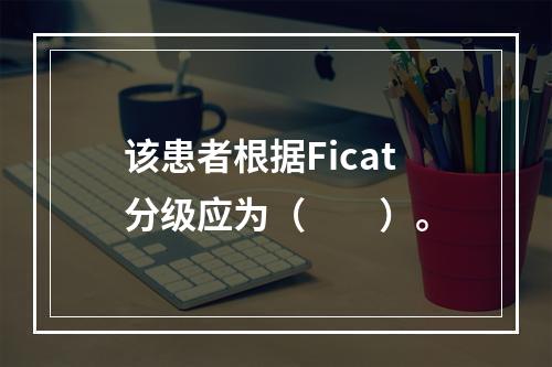 该患者根据Ficat分级应为（　　）。