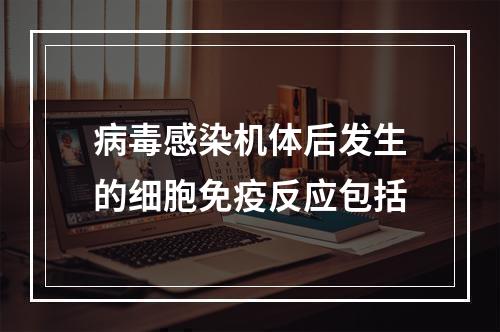 病毒感染机体后发生的细胞免疫反应包括