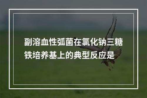 副溶血性弧菌在氯化钠三糖铁培养基上的典型反应是