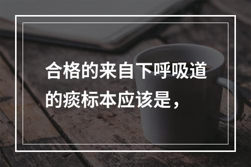 合格的来自下呼吸道的痰标本应该是，