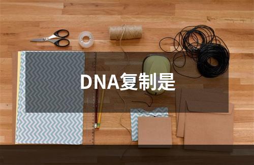 DNA复制是