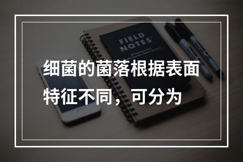 细菌的菌落根据表面特征不同，可分为