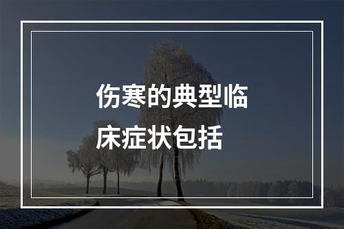 伤寒的典型临床症状包括