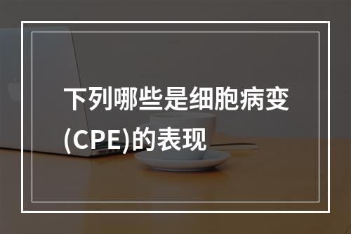 下列哪些是细胞病变(CPE)的表现