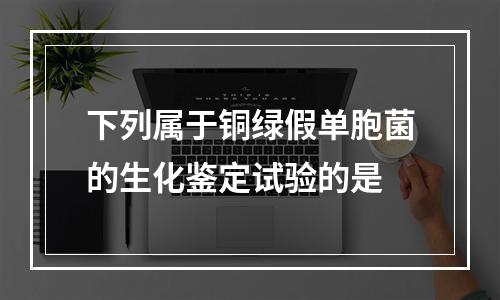 下列属于铜绿假单胞菌的生化鉴定试验的是