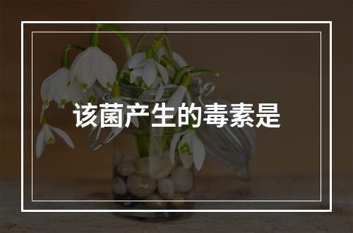 该菌产生的毒素是