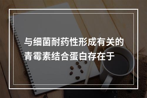 与细菌耐药性形成有关的青霉素结合蛋白存在于