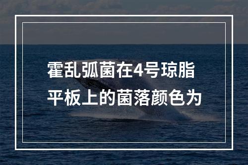 霍乱弧菌在4号琼脂平板上的菌落颜色为