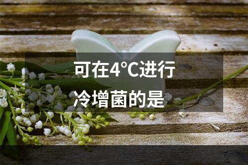 可在4℃进行冷增菌的是