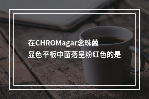 在CHROMagar念珠菌显色平板中菌落呈粉红色的是