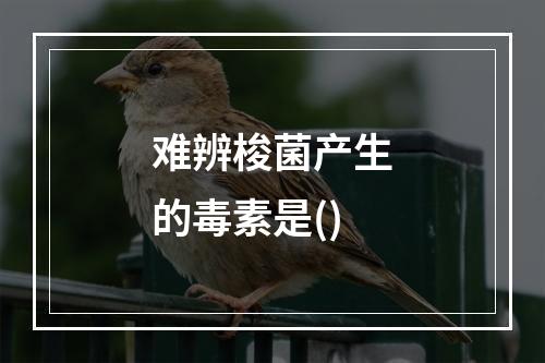 难辨梭菌产生的毒素是()