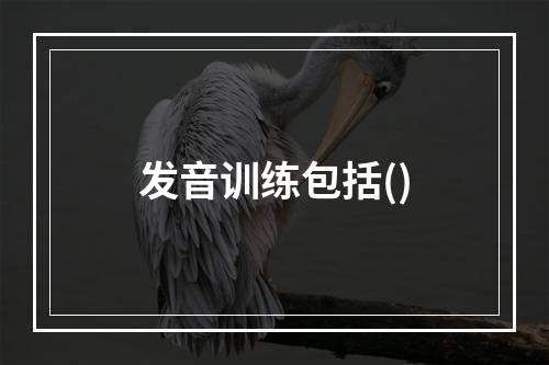 发音训练包括()