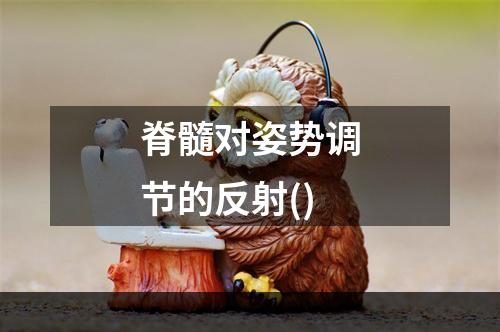 脊髓对姿势调节的反射()