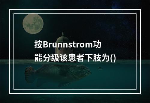 按Brunnstrom功能分级该患者下肢为()