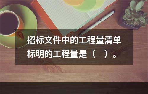 招标文件中的工程量清单标明的工程量是（　）。