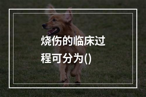 烧伤的临床过程可分为()