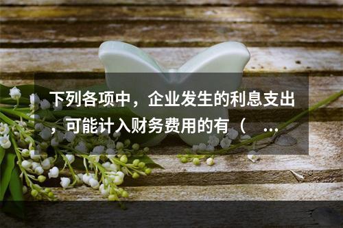 下列各项中，企业发生的利息支出，可能计入财务费用的有（　）。