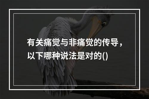 有关痛觉与非痛觉的传导，以下哪种说法是对的()