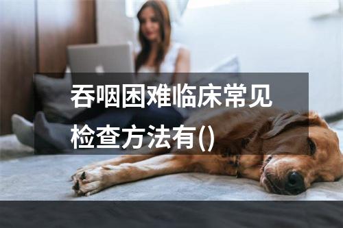 吞咽困难临床常见检查方法有()