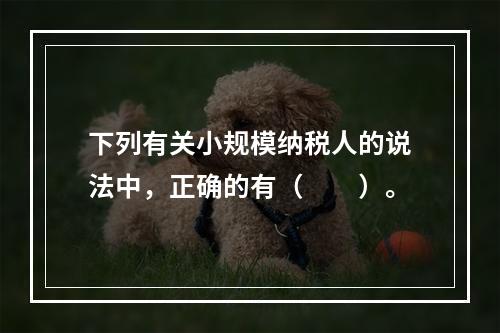 下列有关小规模纳税人的说法中，正确的有（　　）。