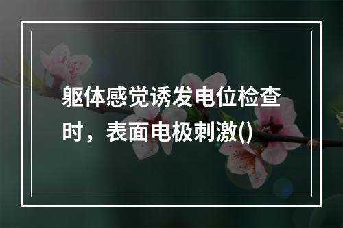 躯体感觉诱发电位检查时，表面电极刺激()